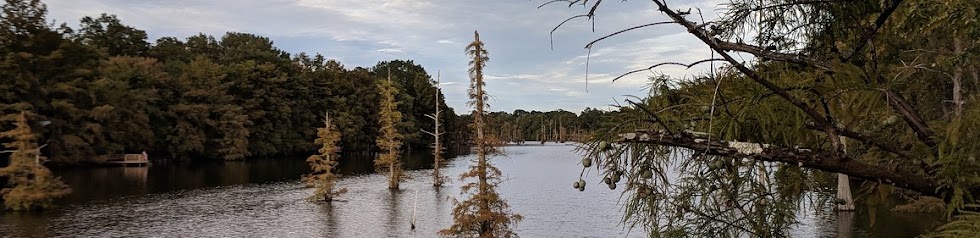 Bayou near the church